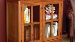 Antique bookcase with glass doors