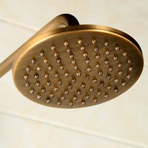 Antique brass shower head